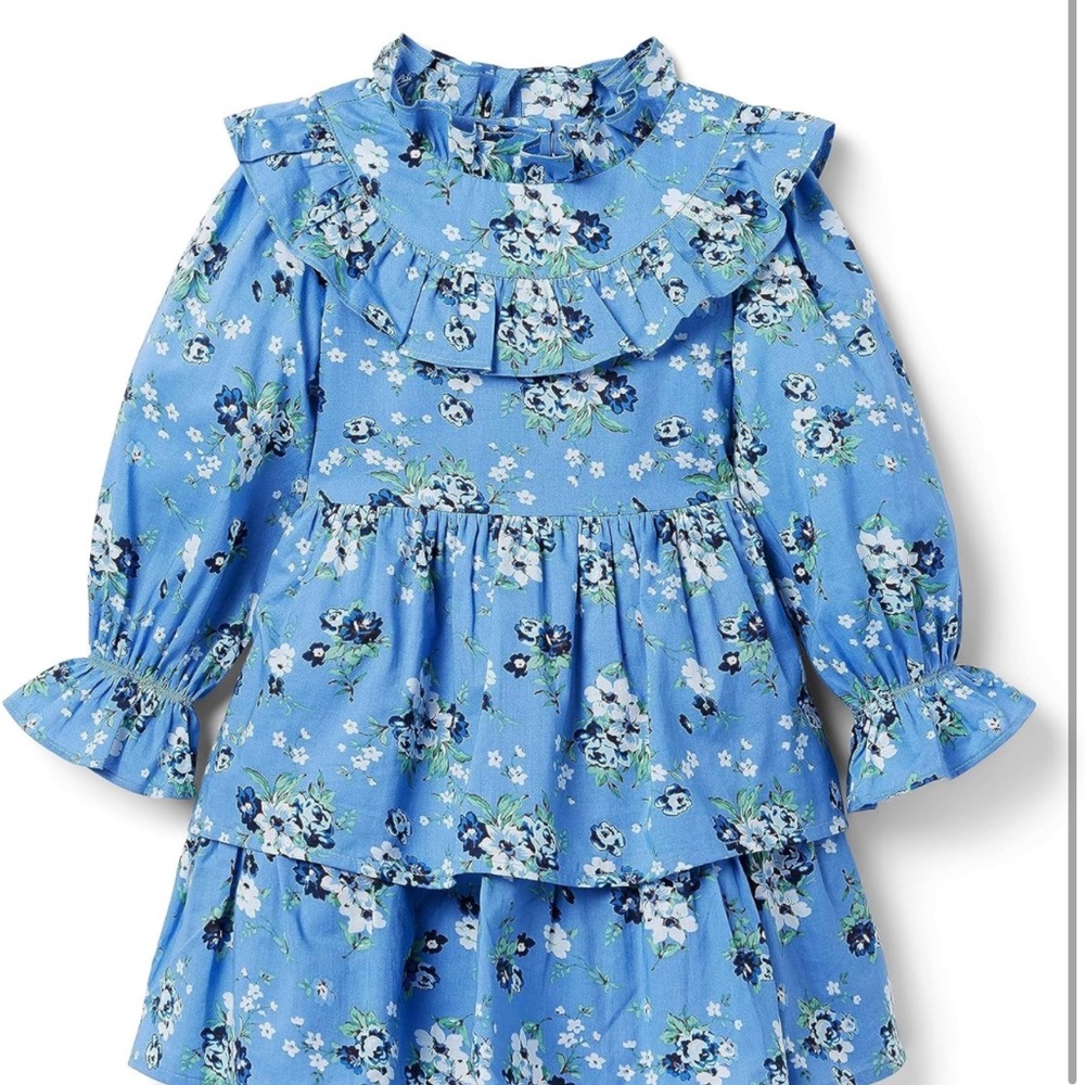 Janie and Jack Girl's Floral Long Sleeve Dress. Pre owned. Just one used.